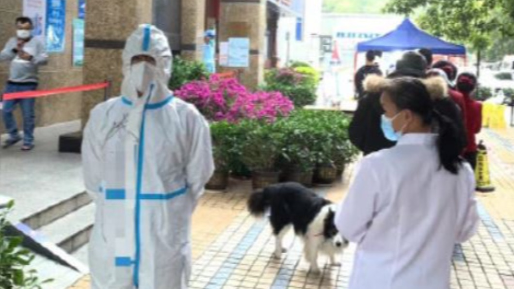 圖/翻攝自深圳无爱的围脖微博