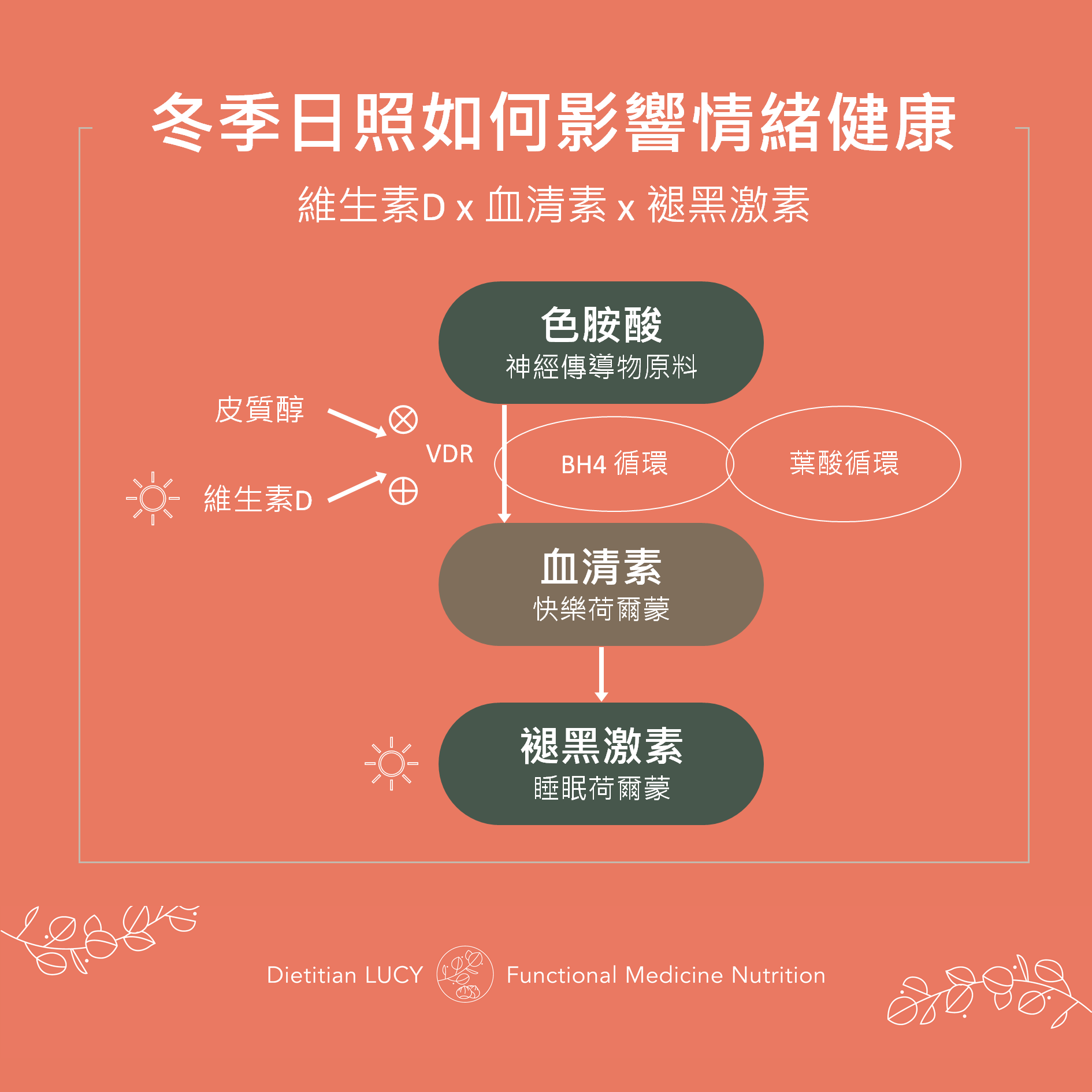 冬季日照如何影響情緒健康。(圖/擷取自功能醫學營養師 Lucy臉書)
