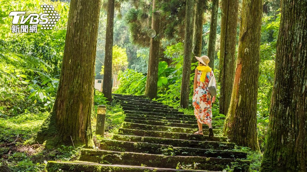 驚蟄節氣到!專家授6大養生法 做錯恐「氣血紊亂」