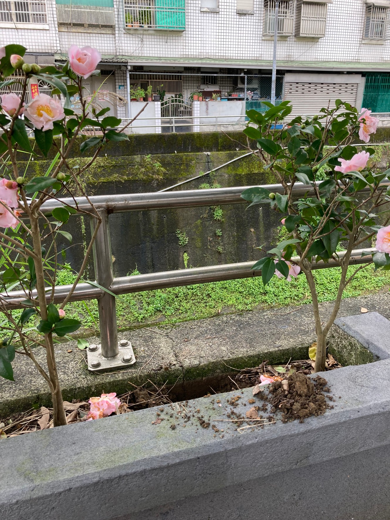 竊賊沿路掉土，里長追蹤報警逮人。圖／TVBS