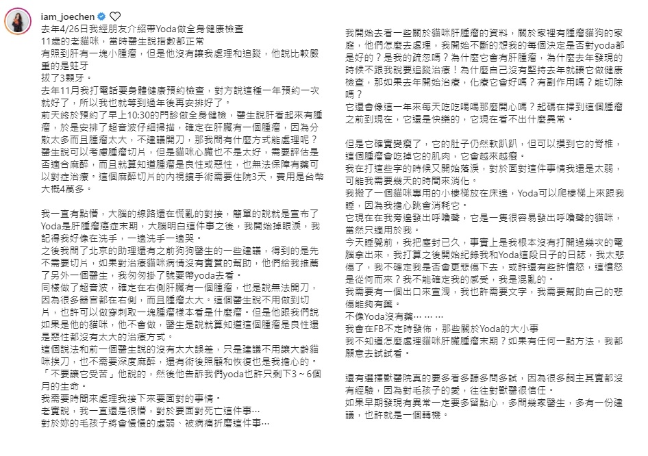 陳喬恩發長文透露11歲愛貓肝癌末期。（圖／翻攝自iam_joechen IG） 
