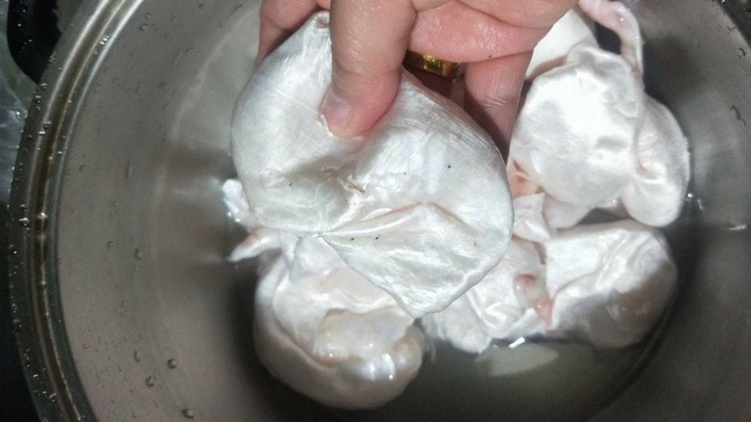 友送「白色泡泡」她不識貨餵貓 老饕曝驚人真相超後悔