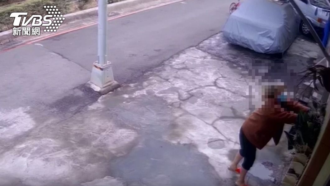楊婦偷竊4次陳姓屋主的蘭花。(圖/TVBS)