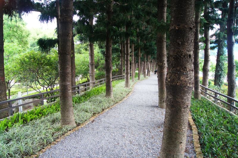 中正紀念堂禁止民眾利用樹幹按摩身體。（翻攝自中正紀念堂管理處官網）