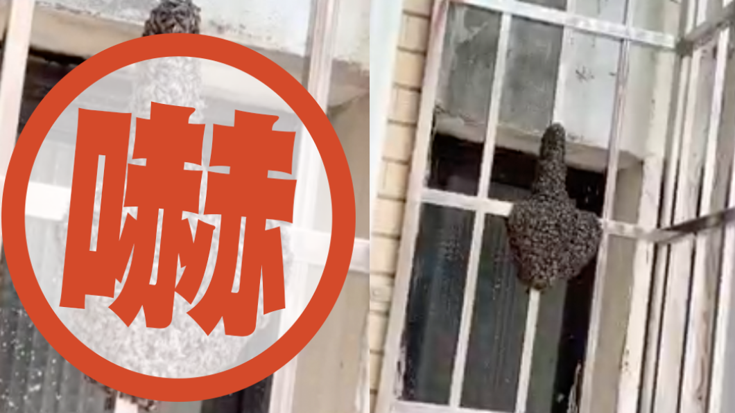 自家鐵窗見「整副器官」嚇壞!屋主近看崩潰 內行人解答