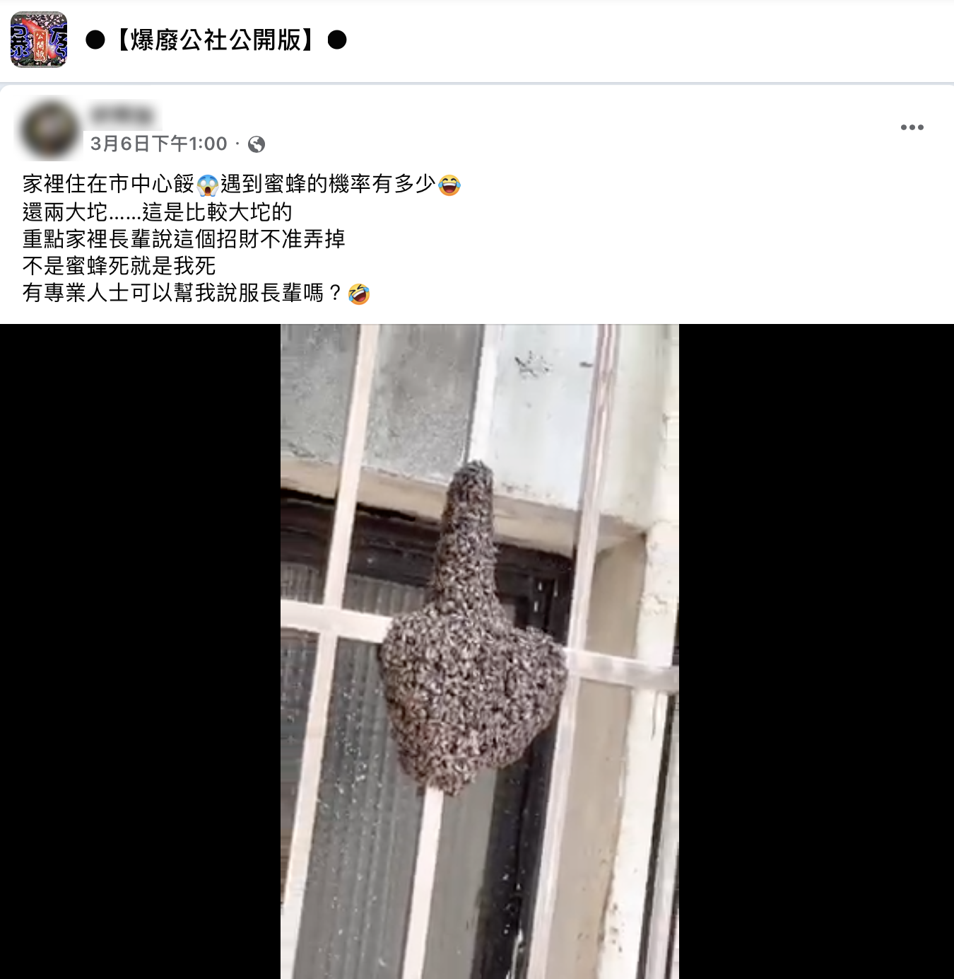 原PO分享自家陽台景象求救網友。(圖/翻攝自爆廢公社公開版)