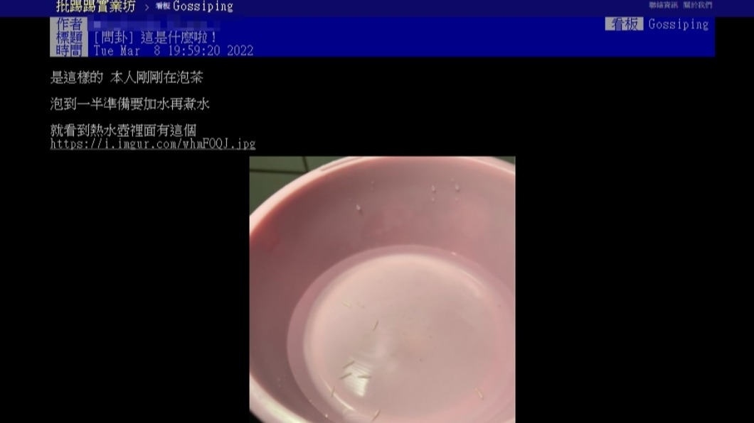 原PO在熱水壺中看見白色小蟲。(圖/翻攝自PTT)