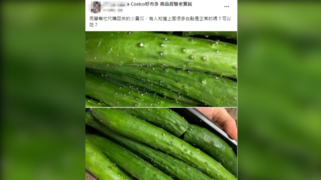 原PO好奇小黃瓜冒出小白點是否能食用。(圖/翻攝自Costco好市多 商品經驗老實說臉書)
