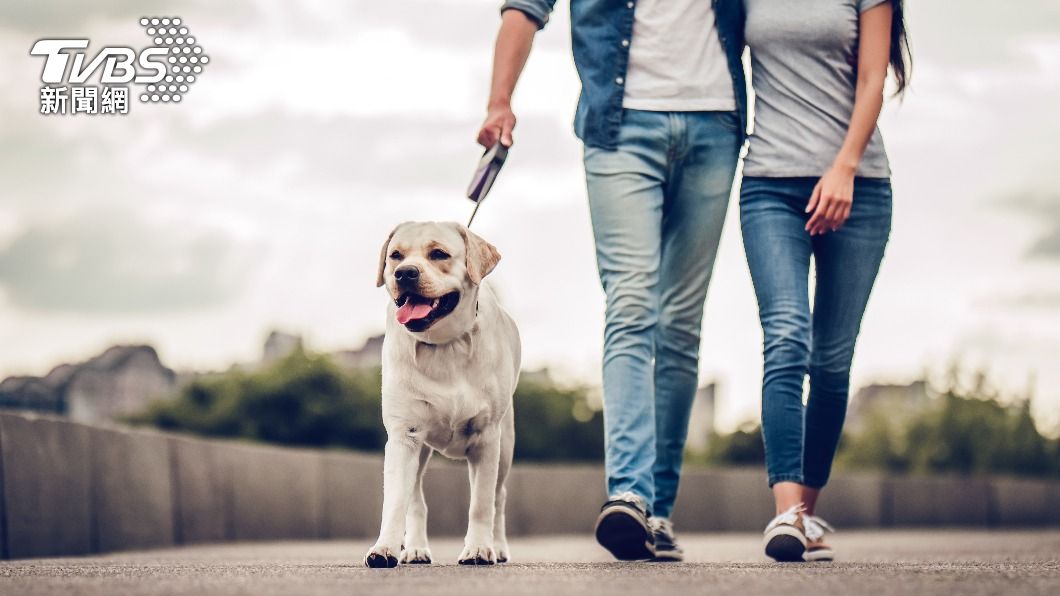 心有餘悸!愛犬突遭怪男踹 母帶2歲女兒躲超商