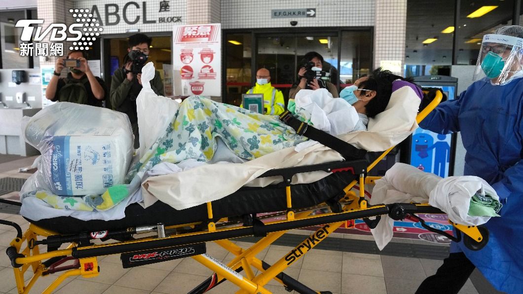 香港疫情大爆發　兇手竟是「進口萌寵」、5成帶病毒傳人