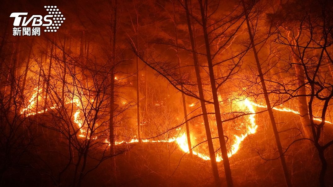 韓國森林大火滅不掉 8天燒掉「3萬座足球場」