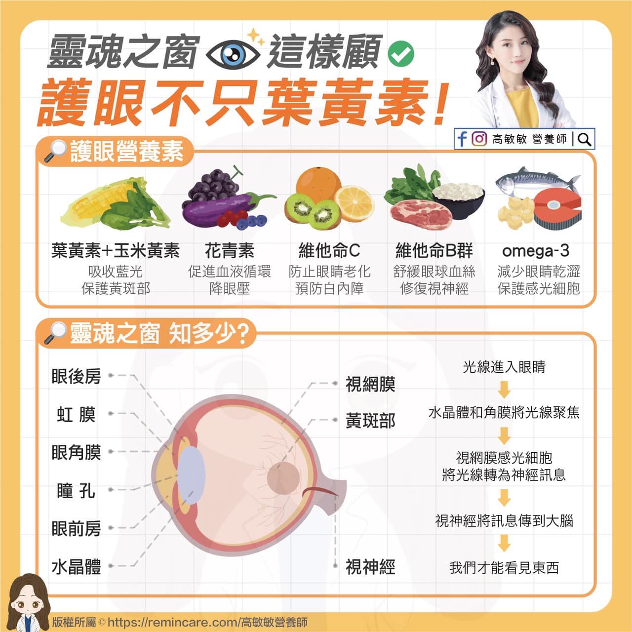 護眼的營養素有6大類。（圖／翻攝自高敏敏營養師臉書）