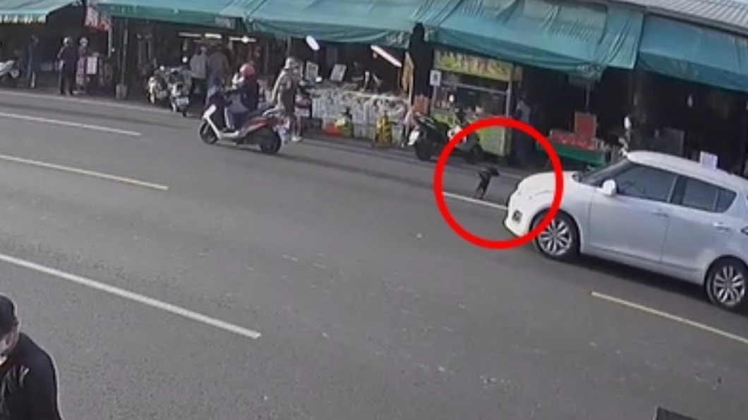 王女見到黑狗緊急煞車。（圖／翻攝自爆料公社）