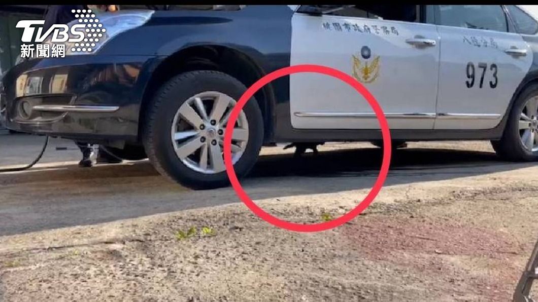 貓咪愛玩「躲貓貓」先躲機車再藏巡邏車引擎室