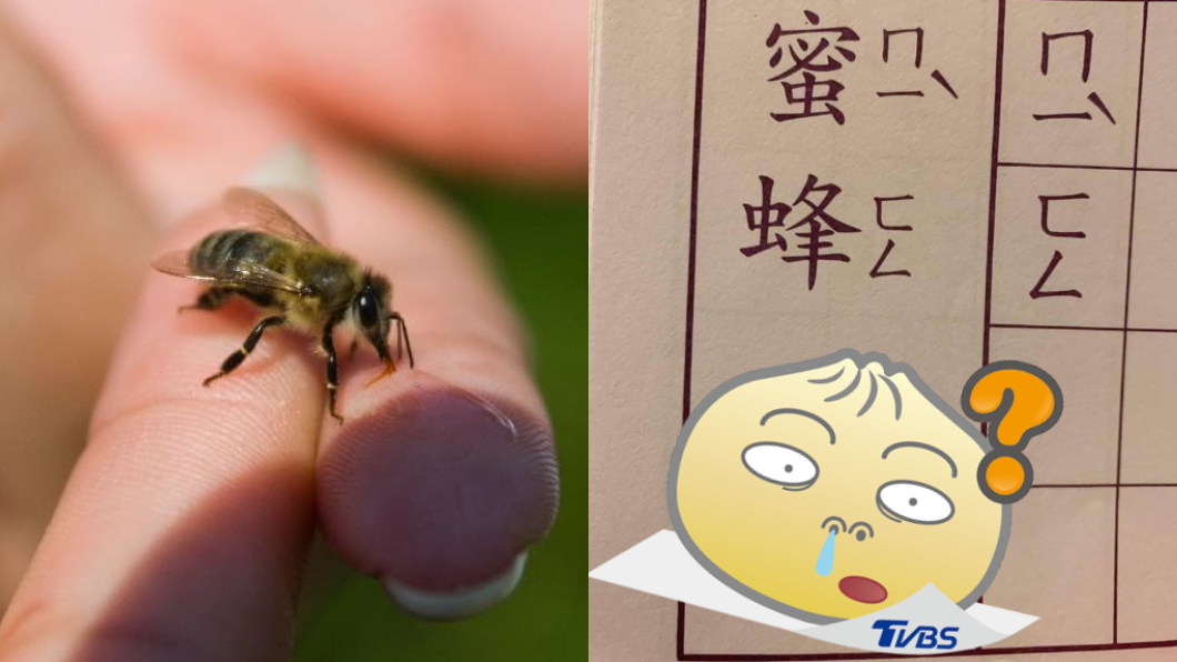 國語作業練習「蜜蜂」注音 一看圖片愣:生物老師都暈倒