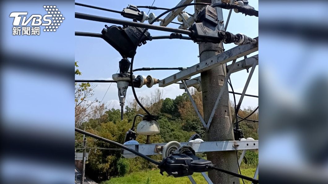 非台電出包！高雄2000戶停電原因找到了　元凶竟是牠