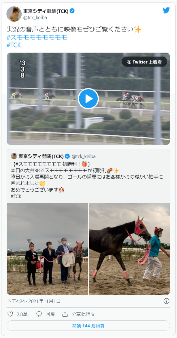 賽馬「SUMOMOMOMOMOMOMOMO」。(圖/翻攝自東京シティ競馬(TCK)推特)