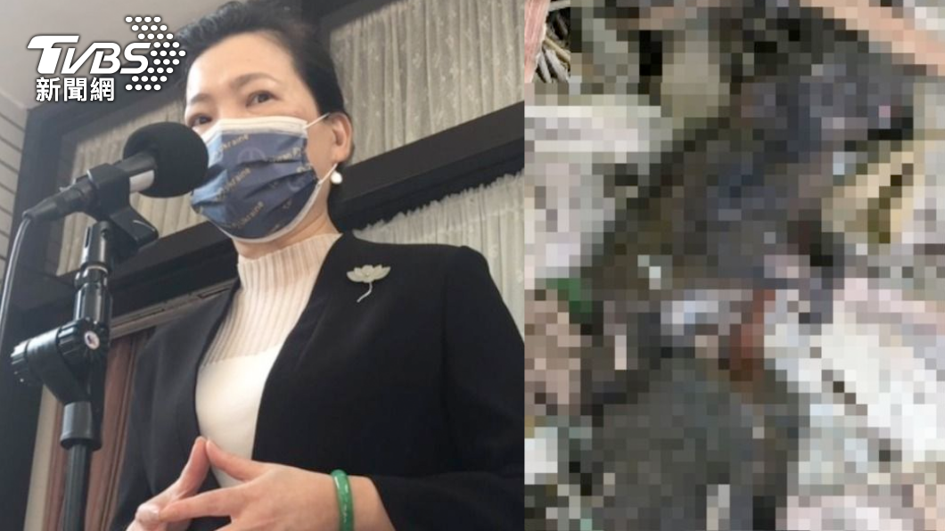 基隆停電松鼠成焦屍!網驚王美花「神預言」:獼猴熱身中