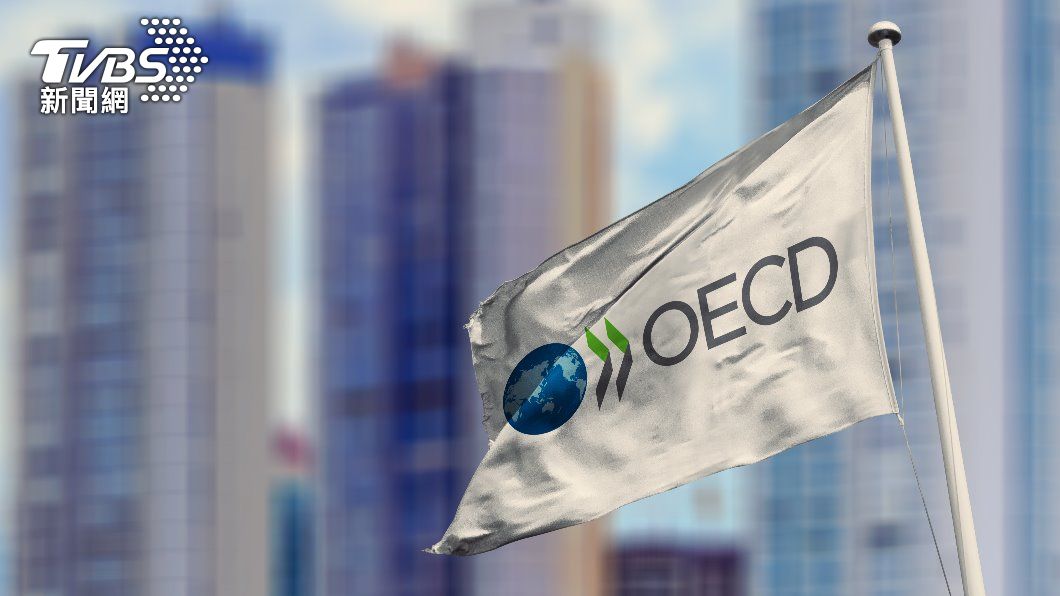 OECD:俄烏戰爭恐使全球經濟成長 減少1個百分點