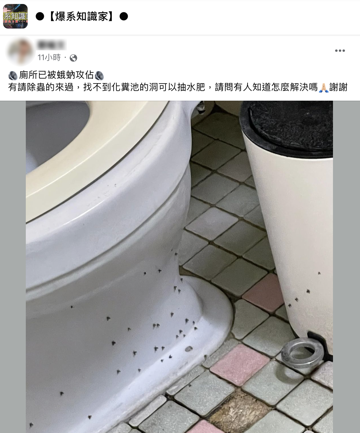 網友分享自家浴廁驚人畫面。(圖/翻攝自爆系知識家)