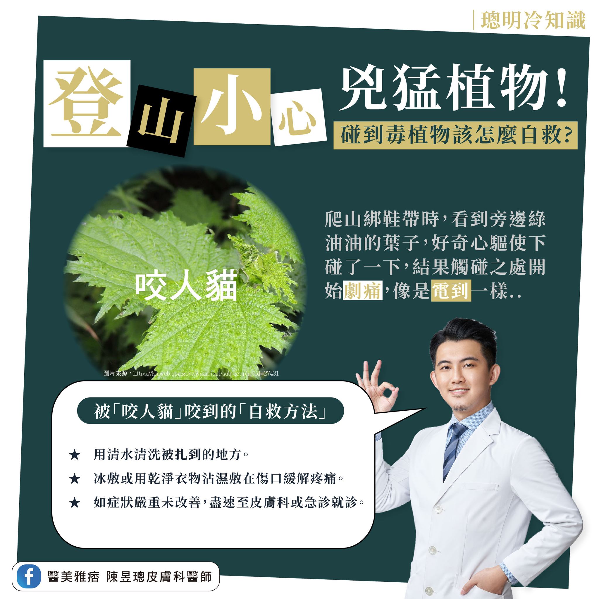 醫師分享自救方法。(圖/翻攝自醫美雅痞 陳昱璁皮膚科醫師臉書)