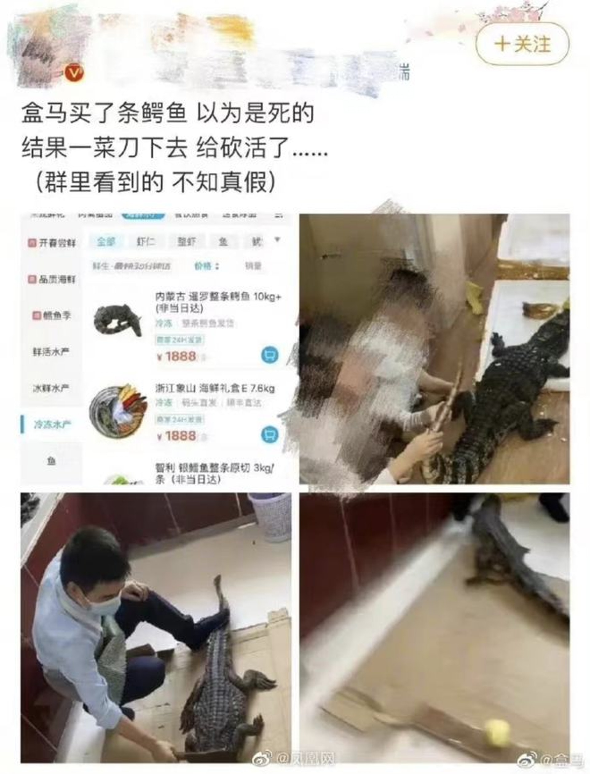網友宣稱「活的」冷凍鱷魚是在盒馬鮮生上購買。(圖/翻攝自微博)