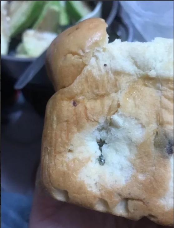 麵包裡竟然有螺絲混合在麵包內,數量還不只1個。(圖/翻攝爆料公社)