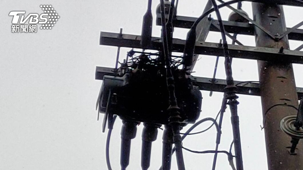 台電人員發現竟是鳥巢樹枝掉落。（圖／TVBS資料畫面）