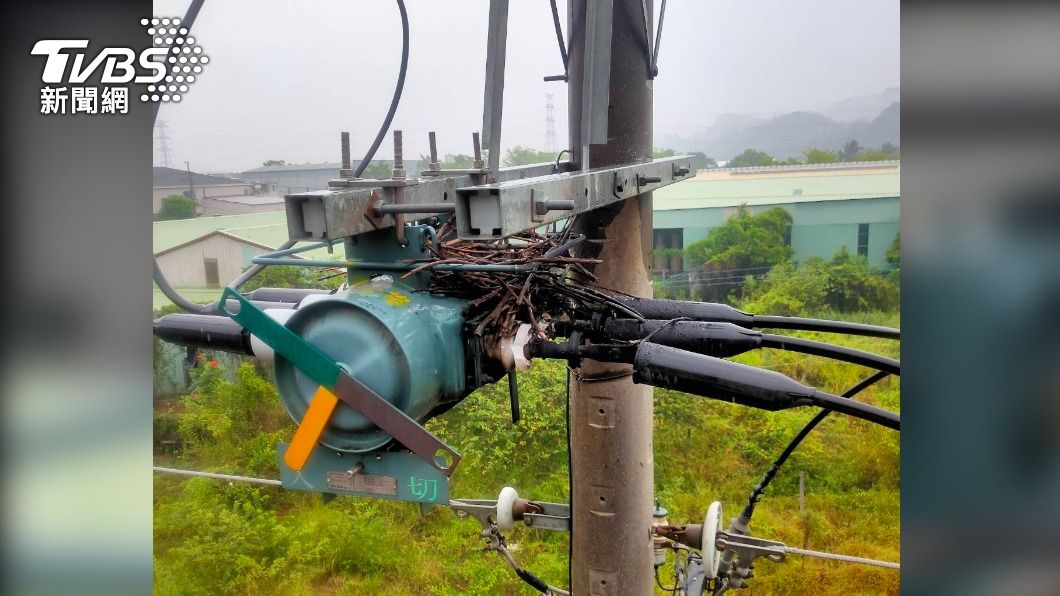 高雄、台北先前都有因鳥巢停電。(圖/TVBS資料畫面)