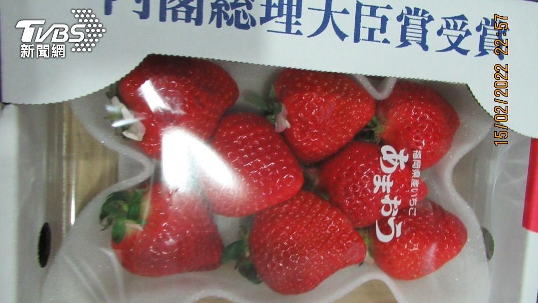 牽涉層級高!日草莓農藥超標仍進口 陳時中:回應不恰當