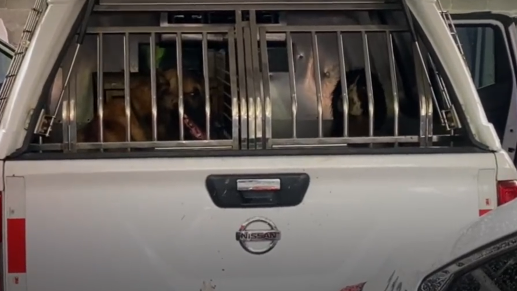 當局已派法醫與警犬進駐協助搜救工作。(圖/翻攝自微博)
