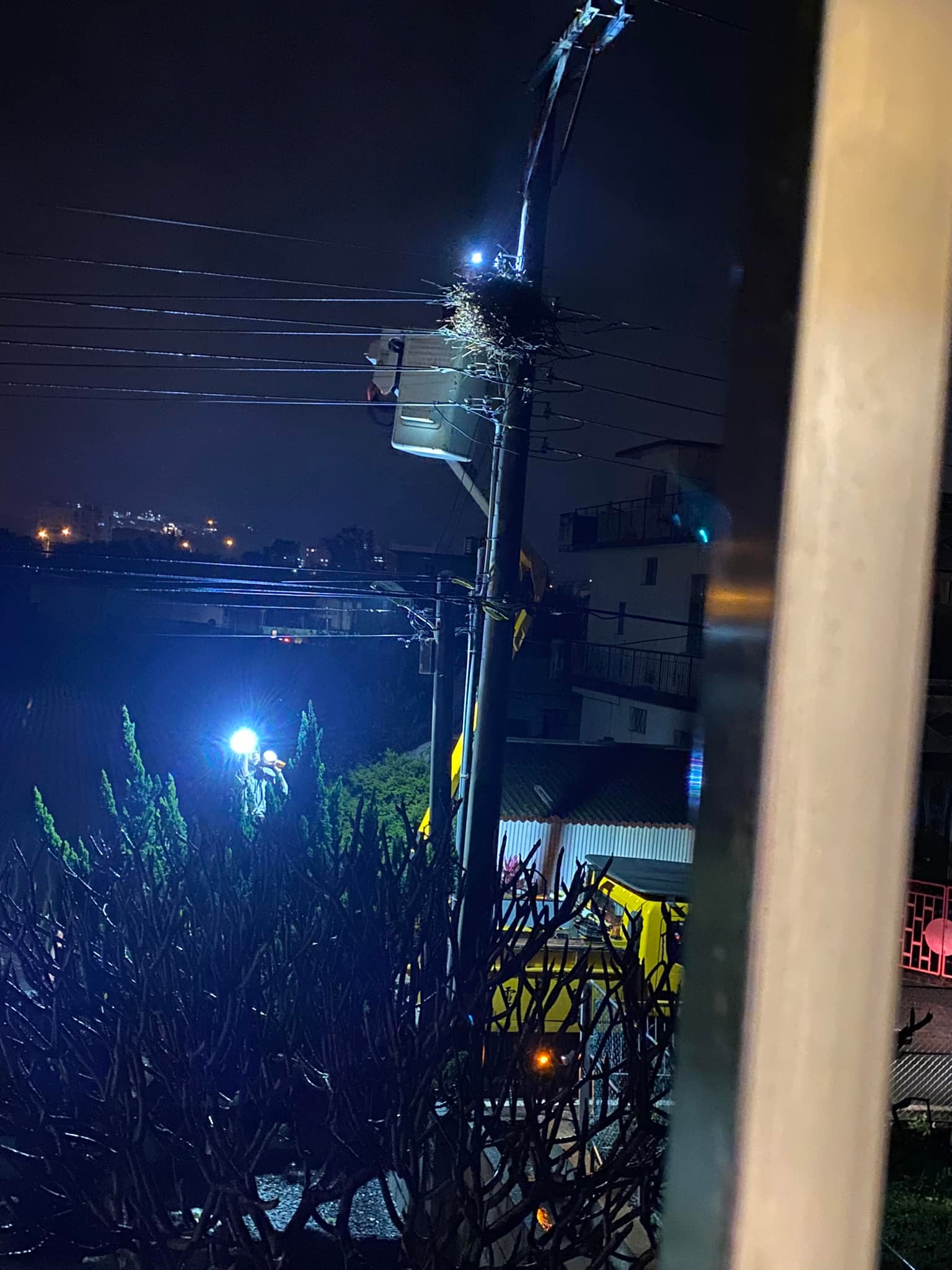 台電人員冒雨拆鳥巢。(圖/翻攝自爆怨2公社)