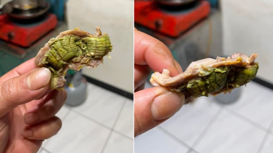 雞胗變種「噁爛苔癬」!內行一看反驚撿到寶 超補賺大了