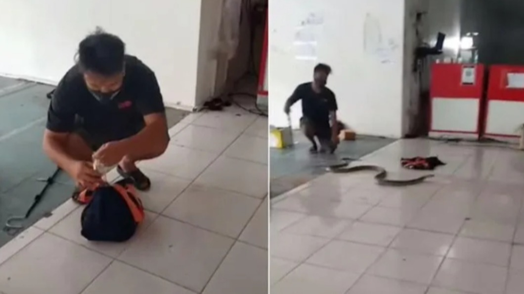 捕蛇人員打開包裹後確認是蛇無誤。（圖／翻攝自BangkokPost YouTube）