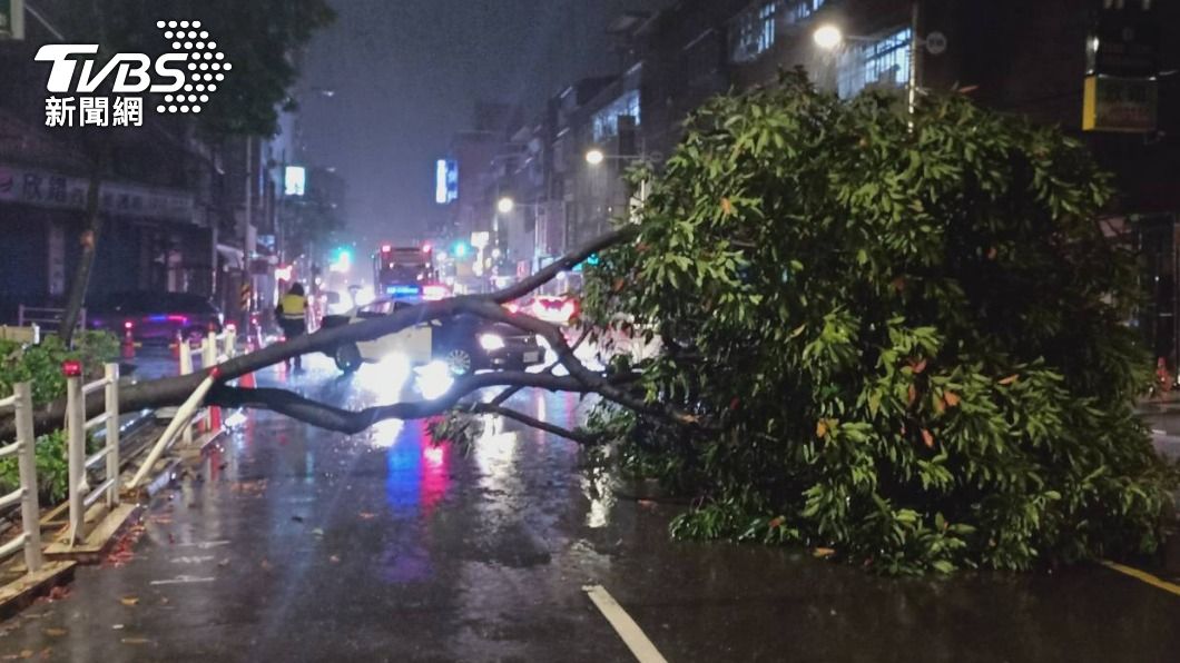連日降雨!板橋人行道路樹倒塌 派出所警合力手動鋸樹
