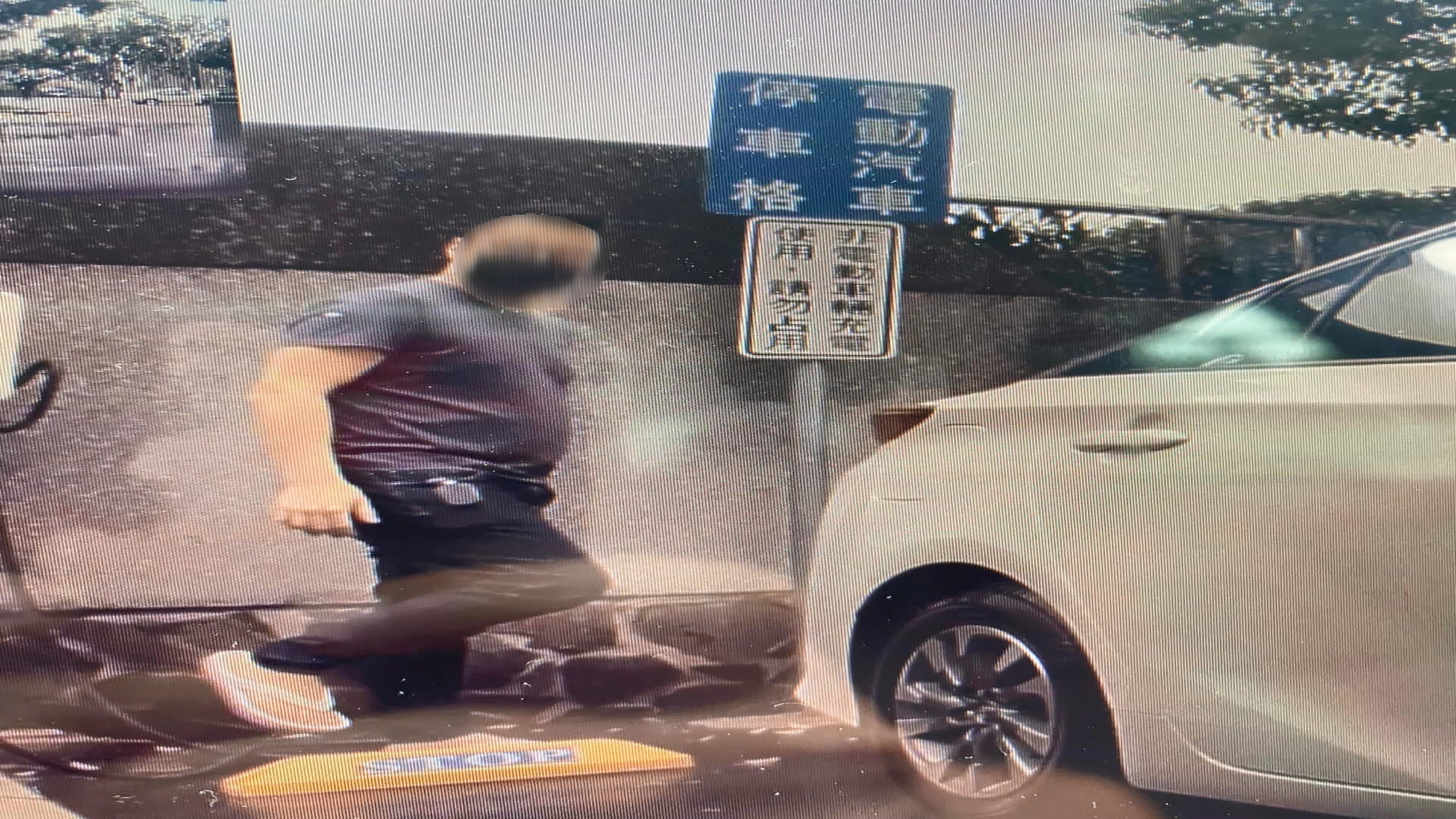 畫面翻攝:TESLA Taiwan Model 3 特斯拉台灣M3車主群