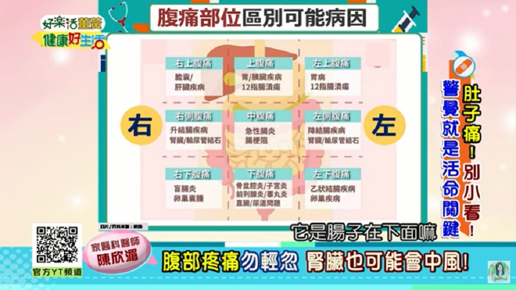 陳欣湄傳授腹痛部位區別可能病因。（圖／翻攝自YouTube《年代MUCH台 健康好生活》頻道）