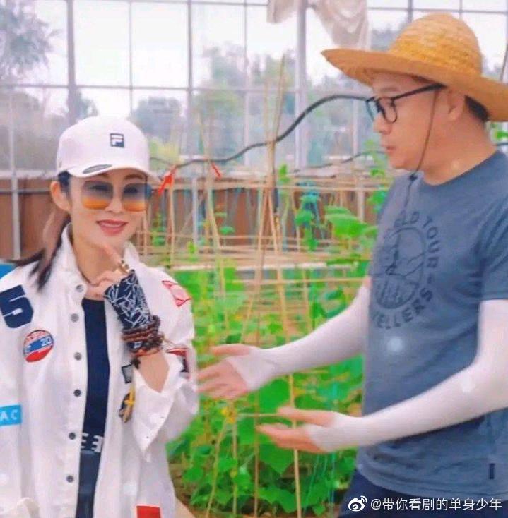 張敏造訪高虎的菜園。(圖/翻攝自微博)
