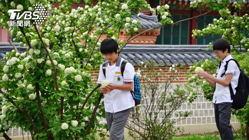 南韓近5年青少年犯罪激增。（示意圖／shutterstock達志影像）