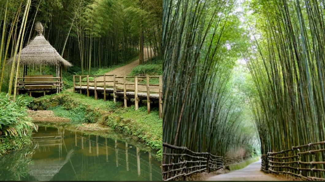 秒飛京都！北中南8個山林秘境　上帝的部落、武俠片場景