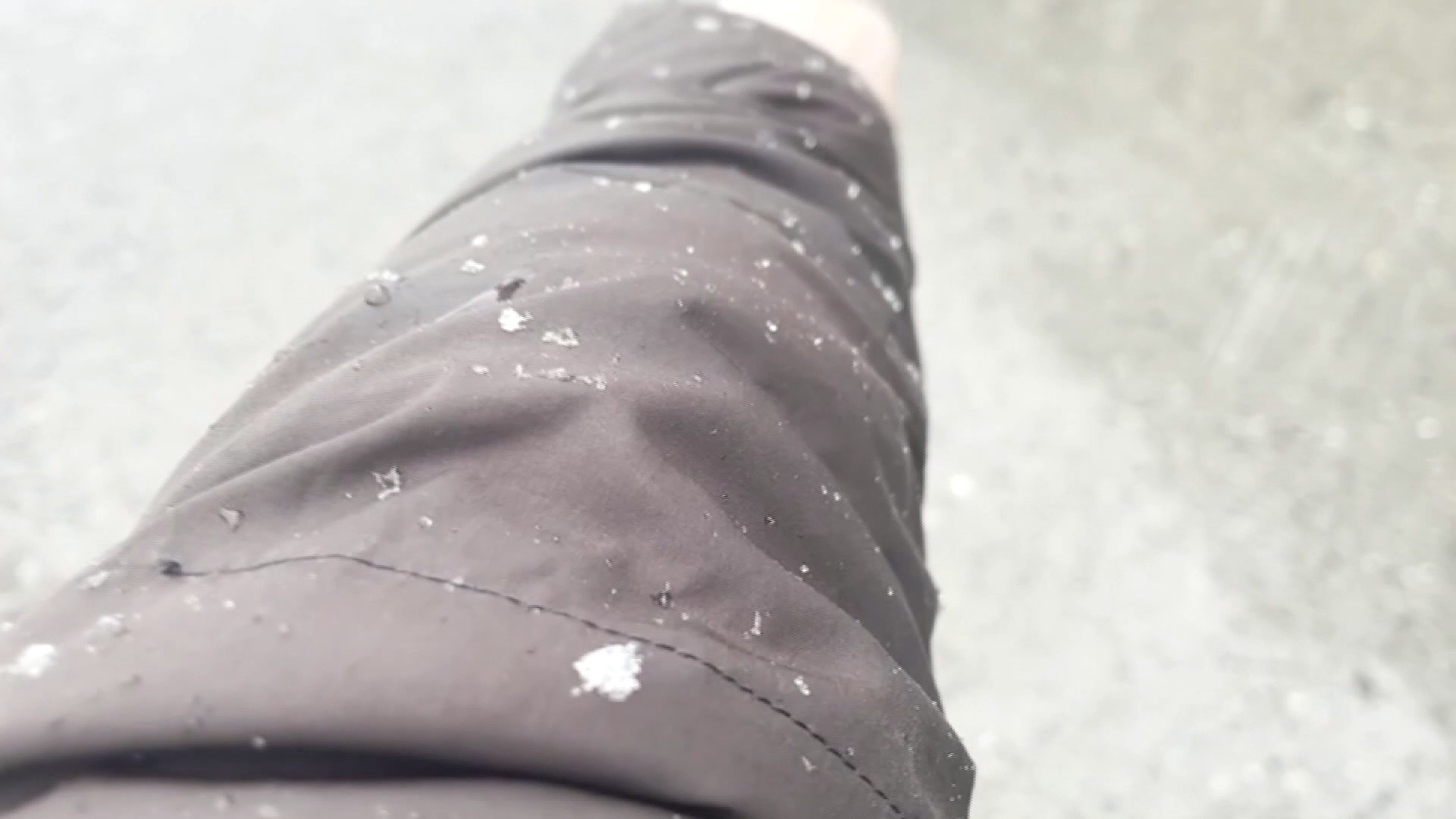 影像 松雪樓提供