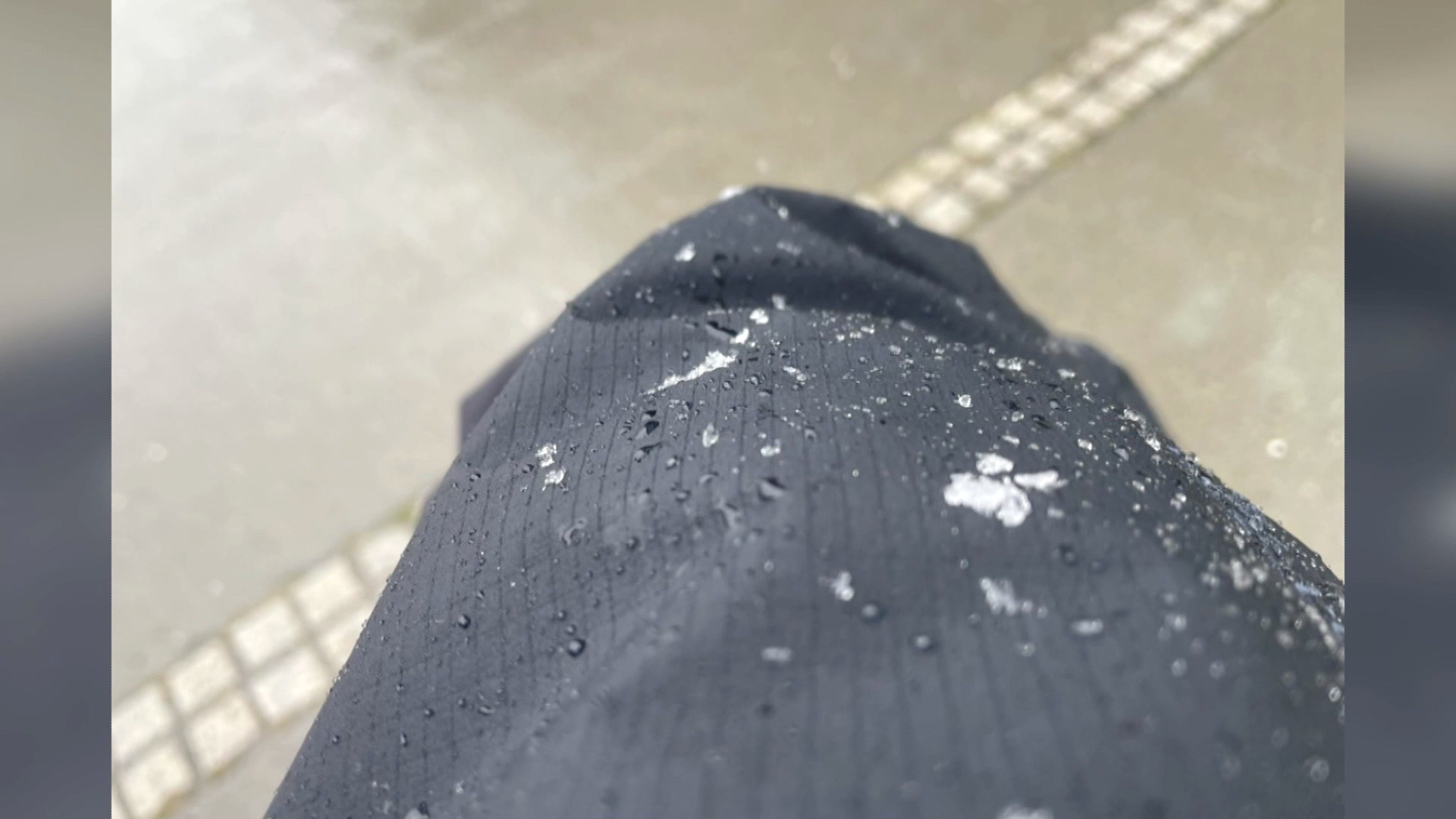 影像 松雪樓提供
