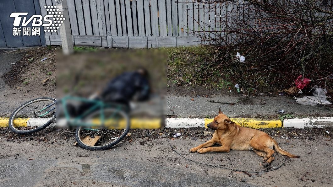 烏克蘭忠犬守護已逝主人不肯離開 布查慘況引發國際譴責
