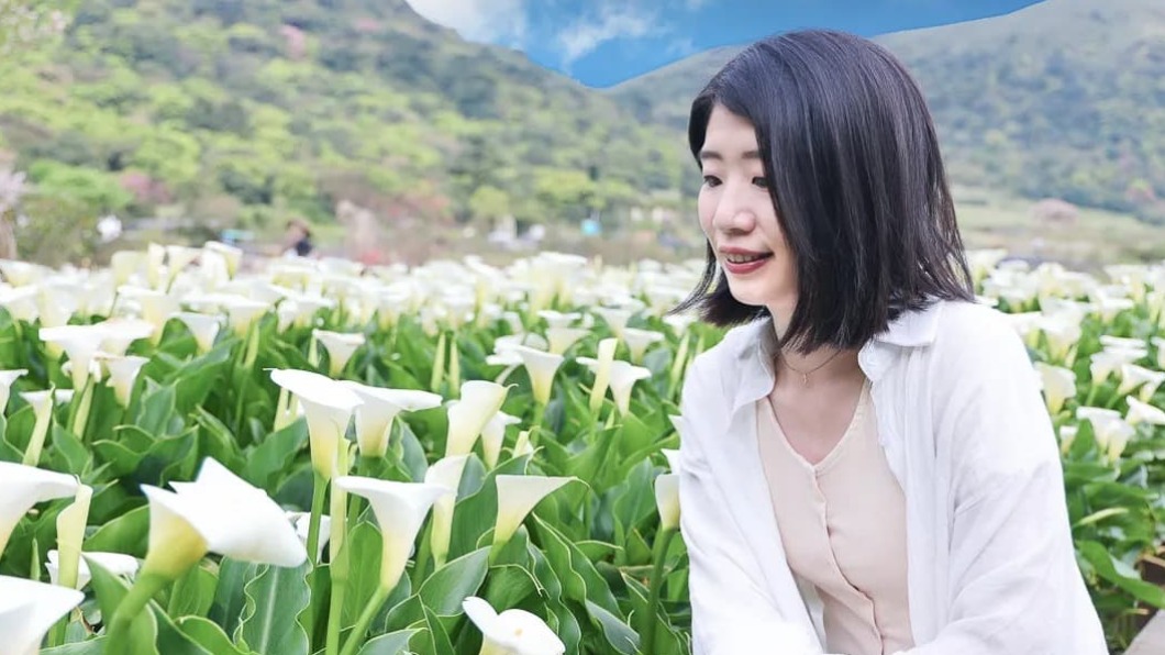 整片白色海芋田綿延宛如波浪。(圖/跟著卡夫卡愛旅行提供)