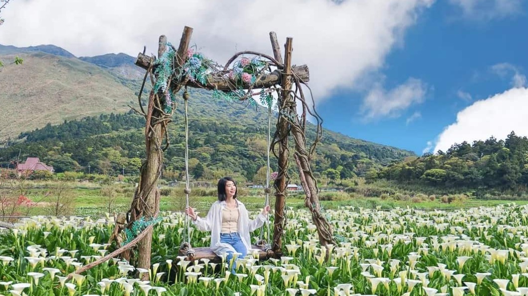 整片綻放的海芋延伸出去,坐在盪鞦韆上望向遠方更有意境。(圖/跟著卡夫卡愛旅行提供)