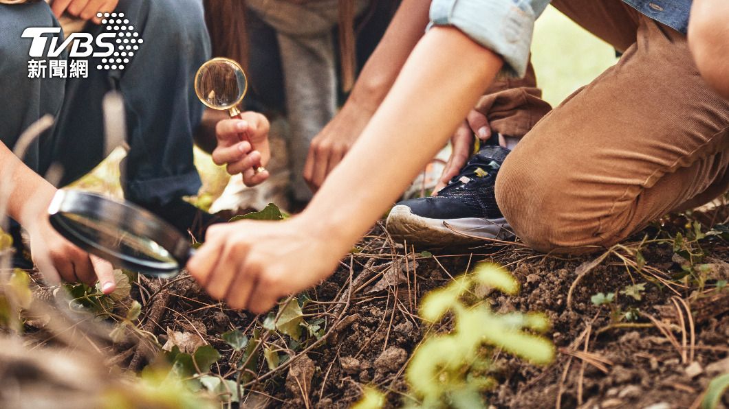 不少網友認為「神農課」與「百草」、「植物」有關。（示意圖，非當事人／shutterstock達志影像）