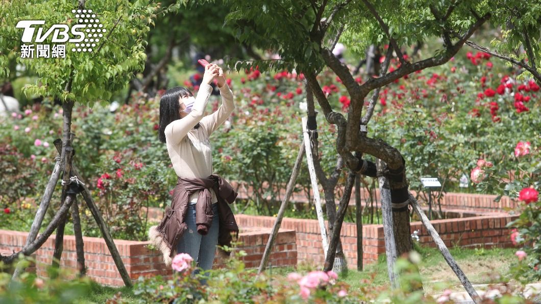 收假日好天氣！中南部日夜溫差15度　「4月颱」擾台機率曝