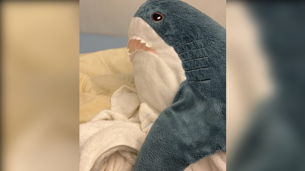 鯊魚娃娃是IKEA的人氣商品。（圖／翻攝自PTT）