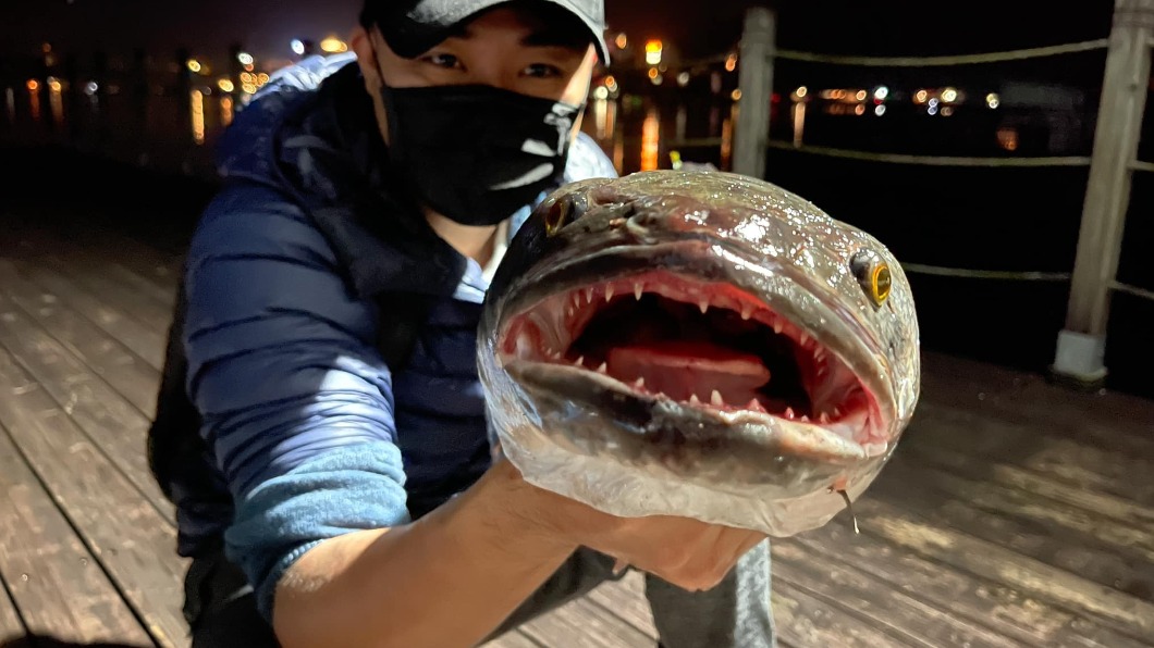 災難前兆?1.1萬隻「湖中惡霸」塞爆日月潭 竟死亡泡泡
