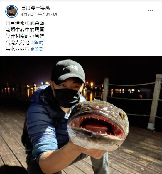釣客表明,魚虎是日月潭惡霸。(圖/翻攝自日月潭一等高臉書)